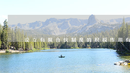设立有限合伙制度的积极作用有哪些