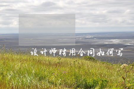 设计师聘用合同如何写