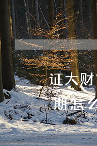 证大财富逾期怎么和第三方结清(证大财富逾期怎么和第三方结清)