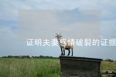 证明夫妻感情破裂的证据具体有哪些