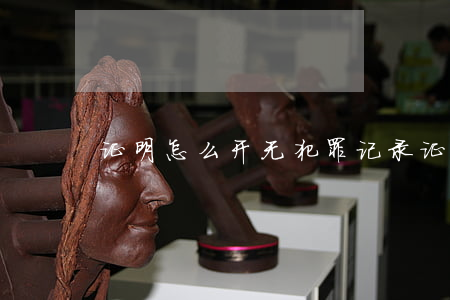 证明怎么开(无犯罪记录证明怎么开)