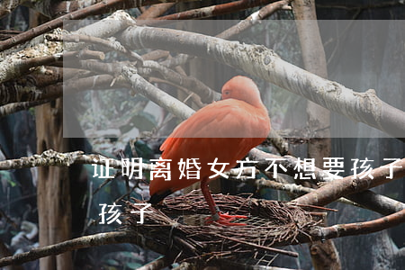 证明离婚女方不想要孩子(离婚协议女方不要孩子)