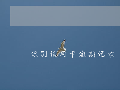 识别信用卡逾期记录