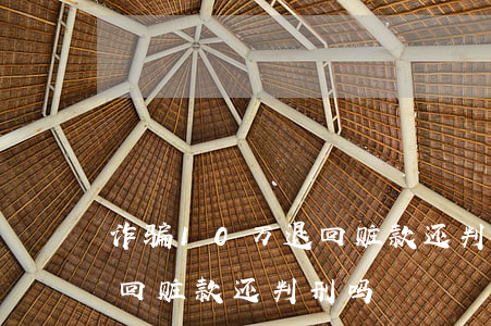 诈骗10万退回赃款还判刑吗(诈骗20万退回赃款还判刑吗)
