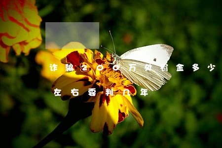 诈骗200万处罚金多少(诈骗金额200万左右要判几年)