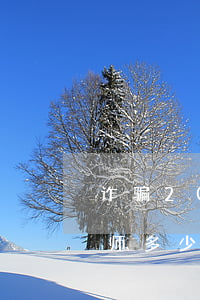 诈骗20万请律师要多少钱(合同诈骗请个律师多少钱)