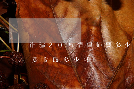 诈骗20万请律师要多少钱(诈骗金额的律师费收取多少钱)