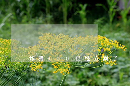 诈骗600已经立案了