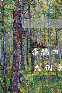 诈骗四十多万从犯能能判多少年(诈骗十几万判刑多少年)