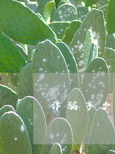 诈骗多少钱就可以立案