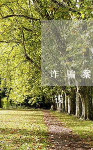 诈骗案件请律师多少钱(诈骗案件请律师多少钱)