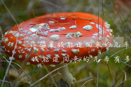 诈骗案钱能追回来的几率有多大(熟人诈骗案钱能追回来的几率有多大)