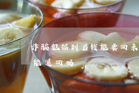 诈骗犯抓到后钱能要回来吗?(诈骗犯抓到了,钱能追回吗?)