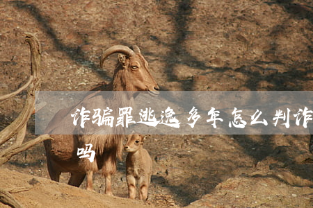 诈骗罪逃逸多年怎么判(诈骗罪判5年很严重吗)