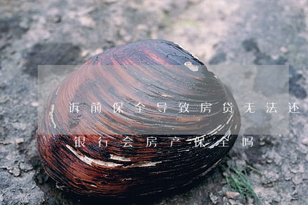 诉前保全导致房贷无法还款（房贷逾期起诉前银行会房产保全吗）