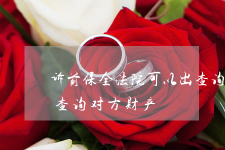 诉前保全法院可以出查询函吗(诉前保全怎么查询对方财产)