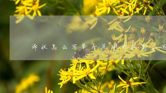 诉状怎么写 举个范例(诉状怎么写 举个范例)
