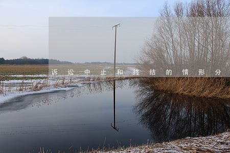 诉讼中止和终结的情形分别是哪些