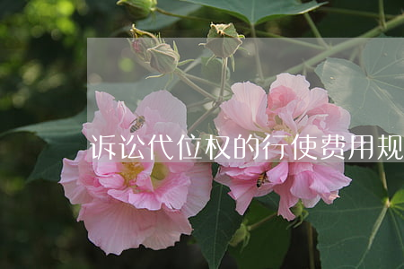 诉讼代位权的行使费用规定是怎样的