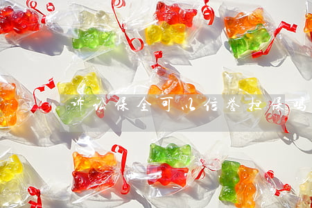 诉讼保全可以信誉担保吗