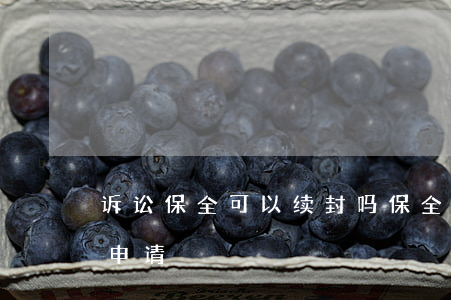 诉讼保全可以续封吗(保全续封向哪一个法官申请)
