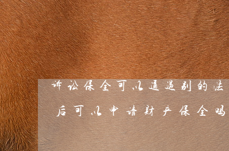 诉讼保全可以通过别的法院进行吗(法院立案后可以申请财产保全吗)