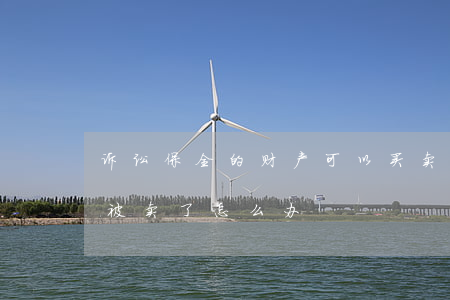 诉讼保全的财产可以买卖吗(法院保全的财产被卖了怎么办)