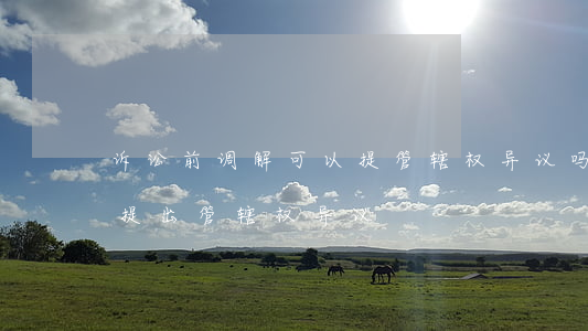 诉讼前调解可以提管辖权异议吗(如何向法院提出管辖权异议)