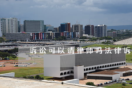 诉讼可以请律师吗(法律诉讼一定要请律师吗)