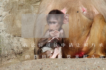 诉讼时可以申请让对方承担律师费吗(请律师的费用可以要求被告承担吗)