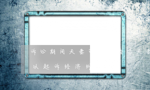 诉讼期间夫妻可以离婚吗(夫妻离婚后多久可以起诉经济纠纷)