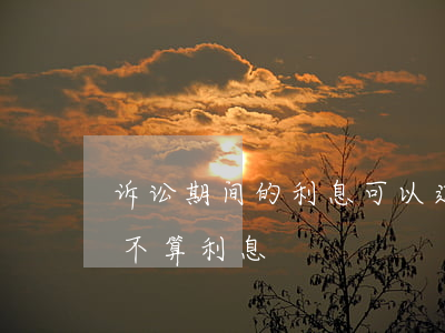 诉讼期间的利息可以追加诉讼吗(诉讼期间算不算利息)