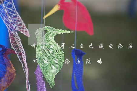 诉讼状可以自己提交给法院吗(可以自己写起诉状交给法院吗)