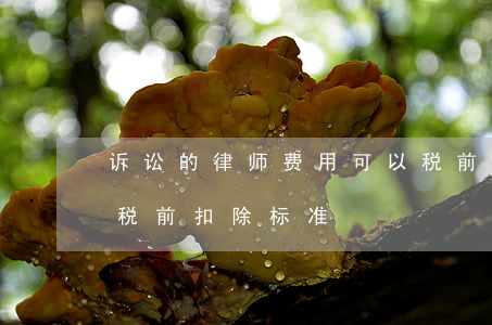 诉讼的律师费用可以税前扣除吗(律师办案费税前扣除标准)