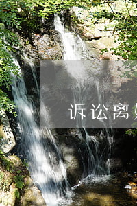 诉讼离婚一方不愿离怎么办