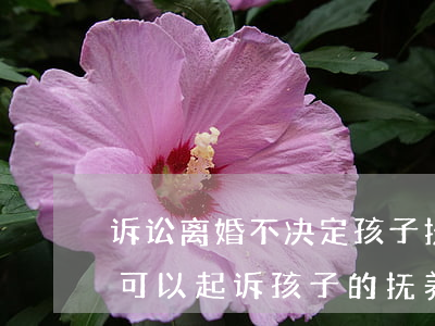 诉讼离婚不决定孩子抚养可以吗(离婚以后还可以起诉孩子的抚养权吗)