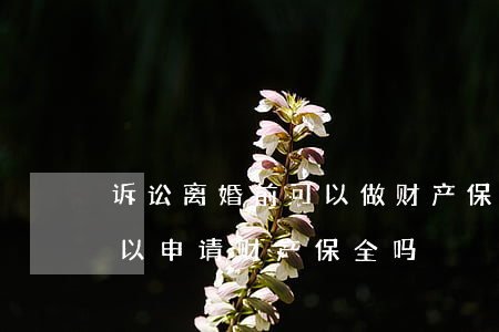 诉讼离婚前可以做财产保全吗(离婚诉讼前可以申请财产保全吗)