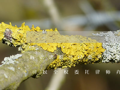 诉讼离婚可以委托律师全权代理吗(离婚诉讼可以全权委托律师办吗?)