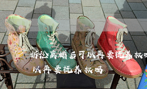 诉讼离婚后可以再要抚养权吗(诉讼离婚后可以再要抚养权吗)