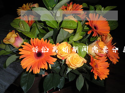 诉讼离婚期间需要分居吗？