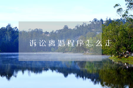 诉讼离婚程序怎么走