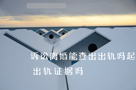 诉讼离婚能查出出轨吗(起诉离婚律师能查到出轨证据吗)