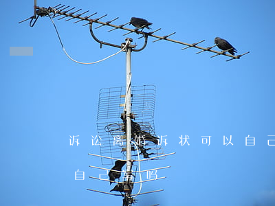 诉讼离婚诉状可以自己写吗(离婚起诉书可以自己写吗?)
