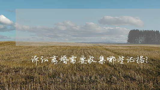 诉讼离婚需要收集哪些证据？