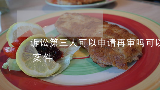 诉讼第三人可以申请再审吗(可以申请再审的案件)