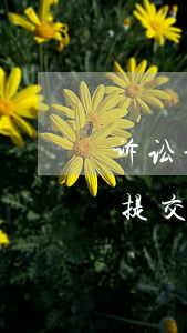 诉讼证据在开庭时提交可以吗(被告开庭时才提交证据可以吗)