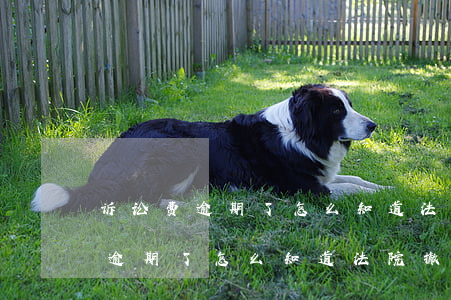 诉讼费逾期了怎么知道法院撤诉了-诉讼费逾期了怎么知道法院撤诉了没
