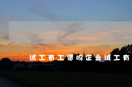 试工有工资吗(企业试工有工资吗)
