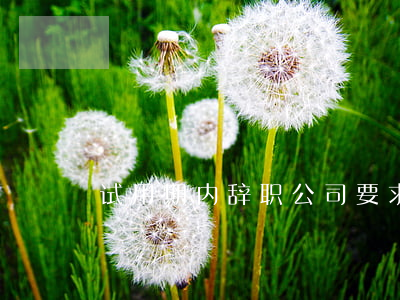 试用期内辞职，公司要求赔偿是否合理