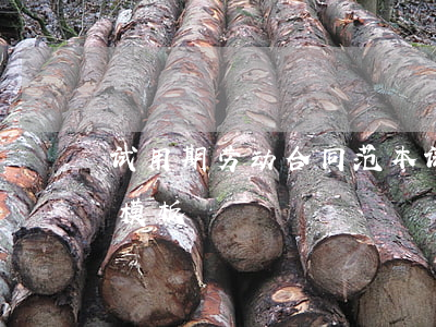 试用期劳动合同范本(试用期试用期劳动合同模板)
